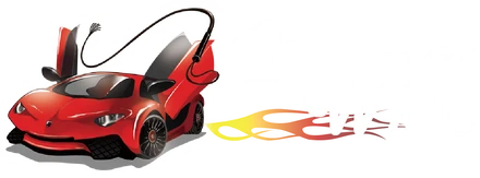CarWhip
